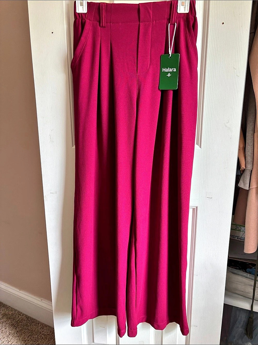 Halara Flex™ DayStretch High Waisted Pleated Wide Leg Work Pants with Pockets